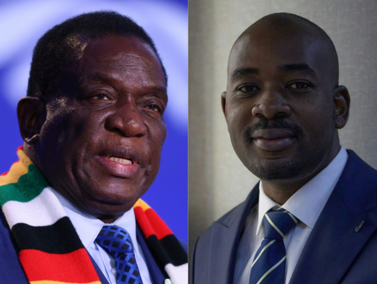 zim elections